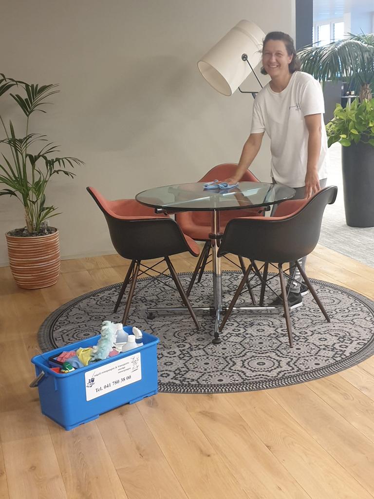 nägeli reinigungen & transporte plus ag